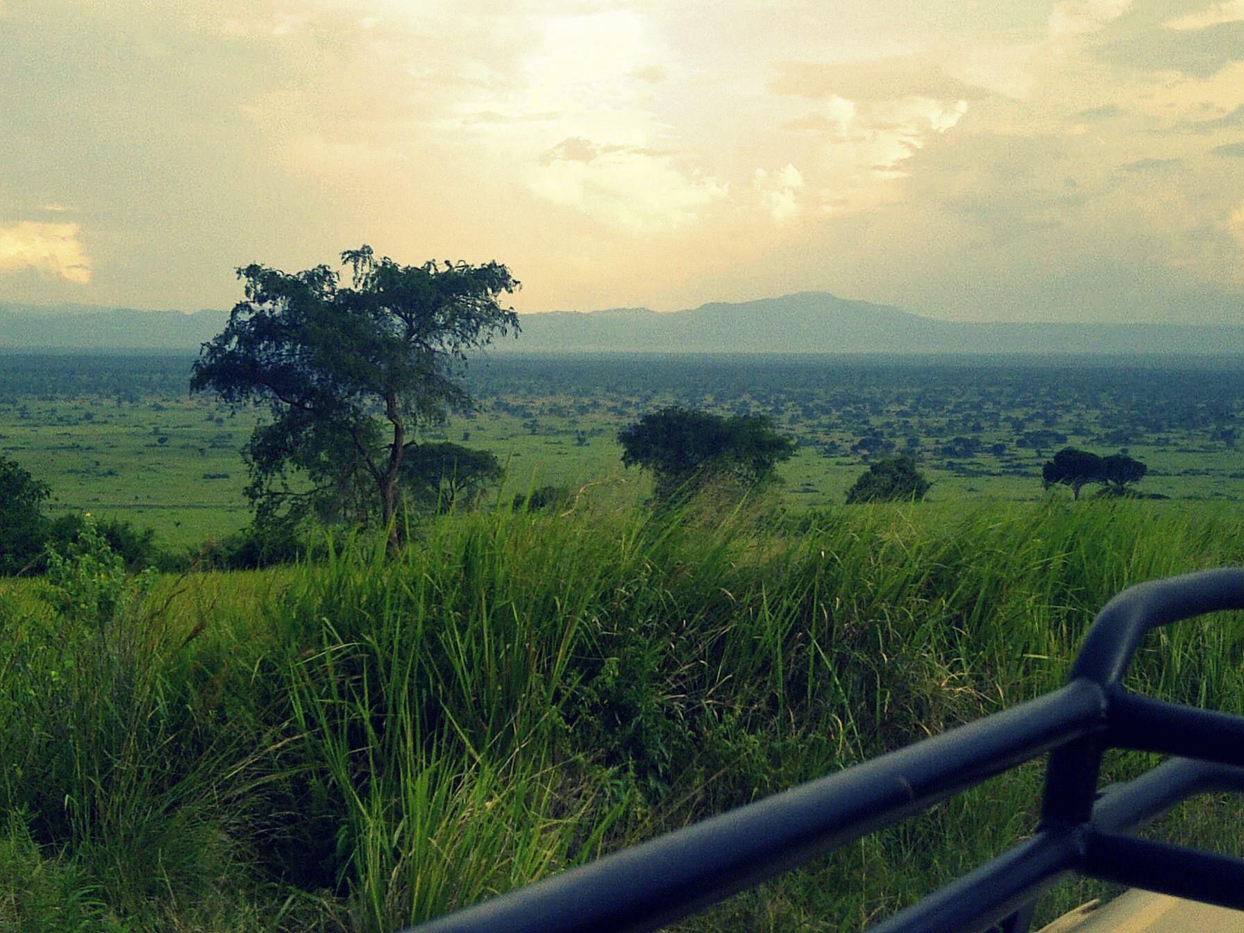 Sunrise view from a safari vehicle during a morning game drive in Queen Elizabeth National Park